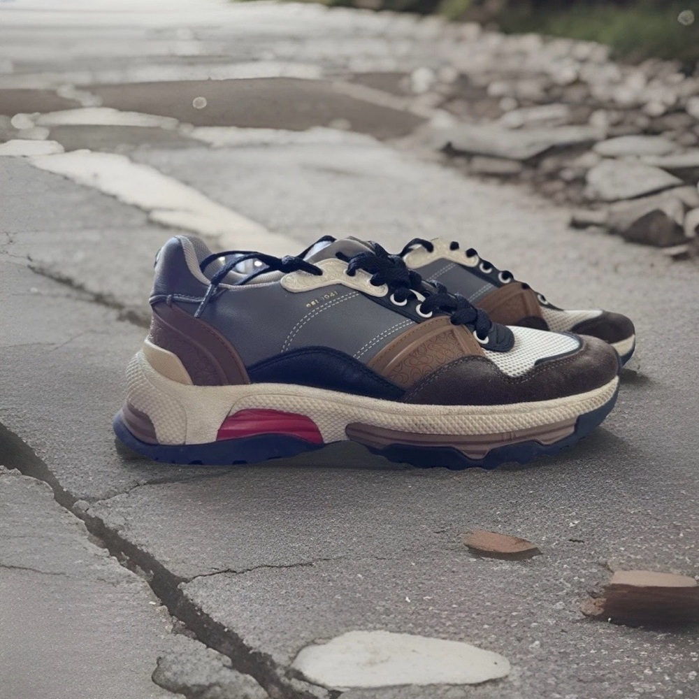 Coach Men's Blue and Brown Sneakers